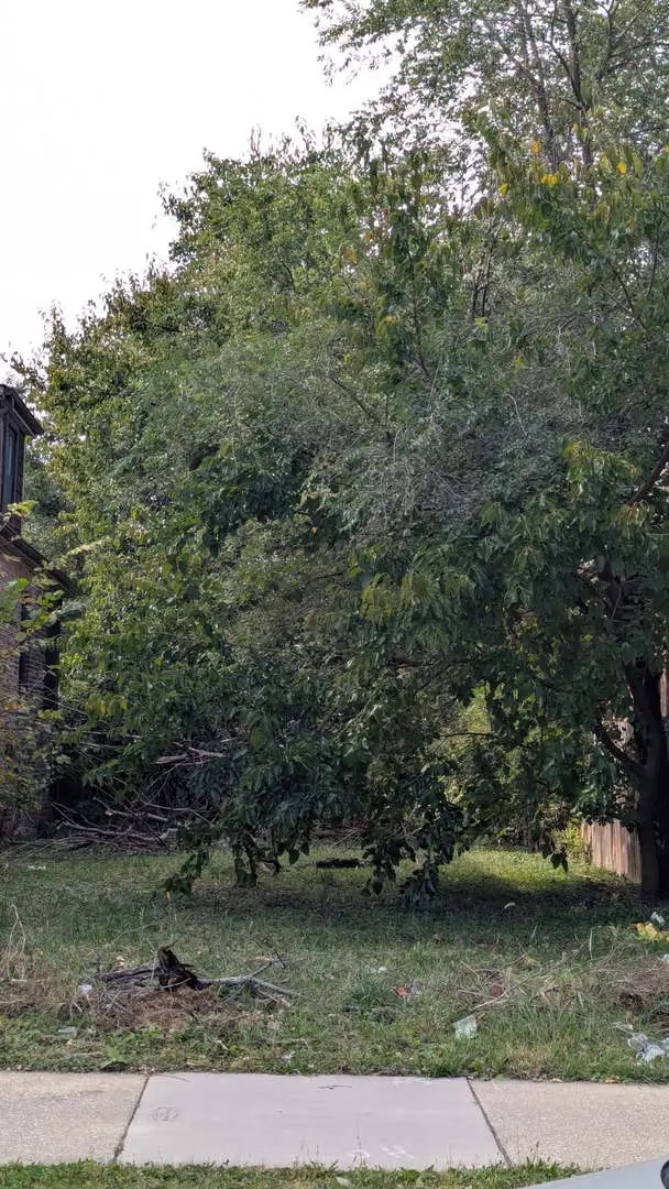 6722 S Oakley Avenue, Chicago, IL 60636 - Image #1