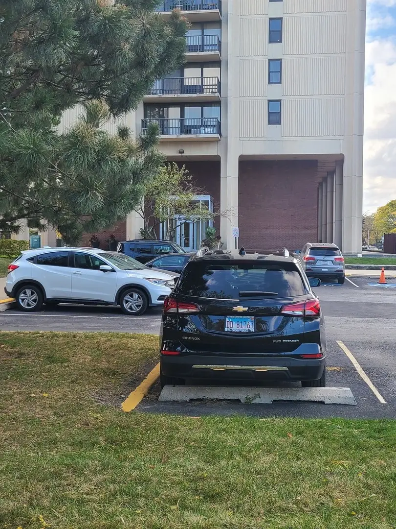 2901 S Michigan Avenue #908, Chicago, IL 60616 - Image #2