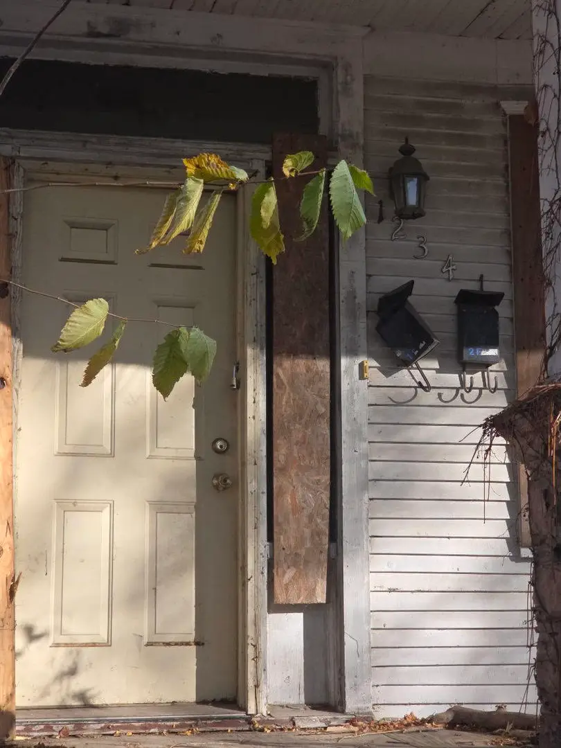 12341 S Parnell Avenue, Chicago, IL 60628 - Image #3