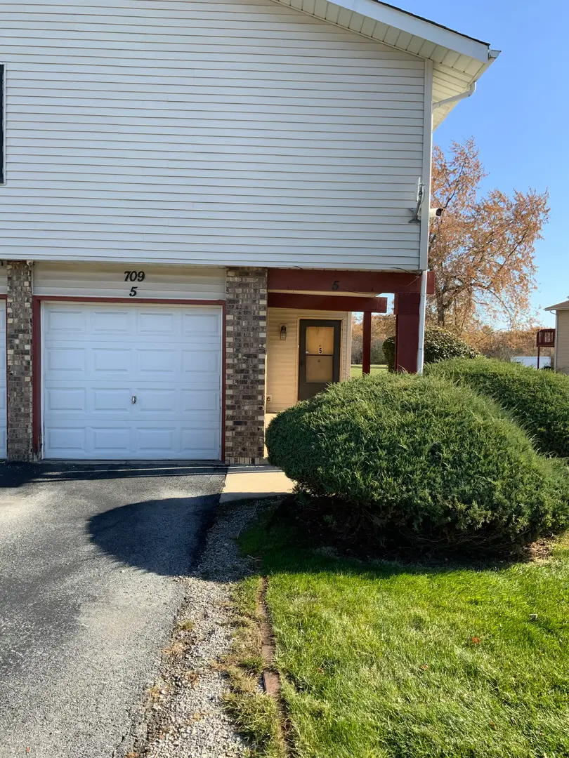 709 Spring Court, University Park, IL 60484 - Image #2