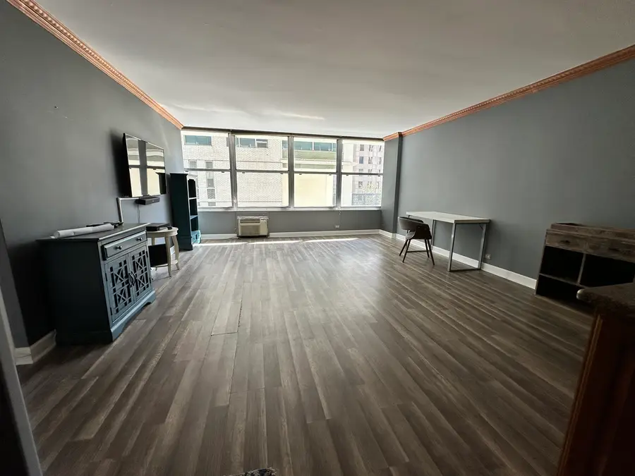 1000 N Lake Shore Drive #1007, Chicago, IL 60611 - Image #3