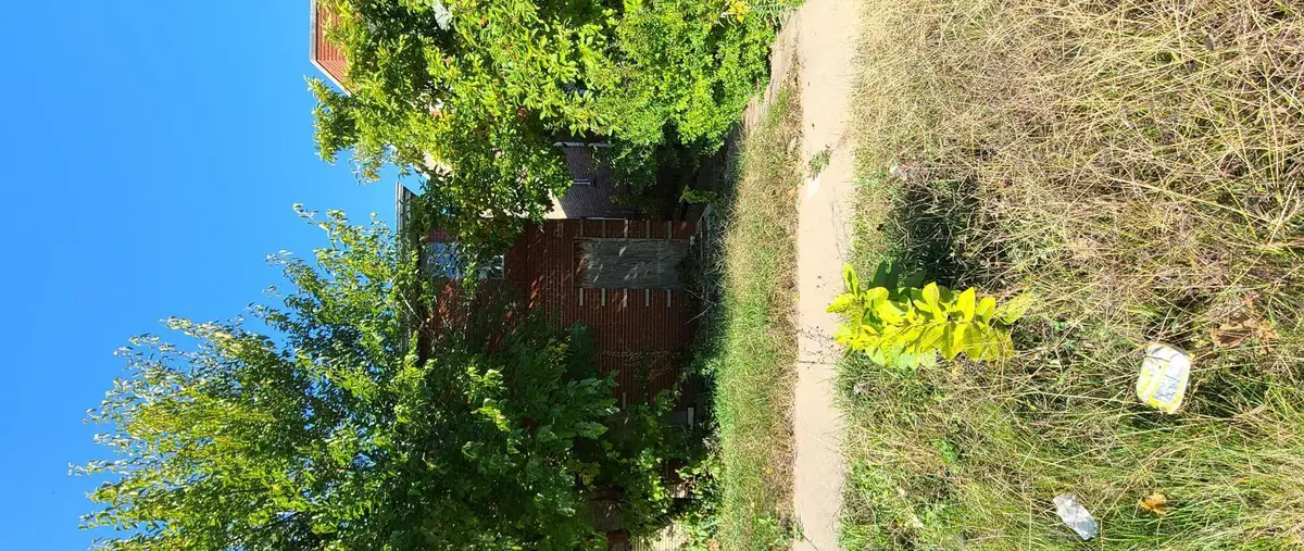 7804 S Constance Avenue, Chicago, IL 60649 - Image #1