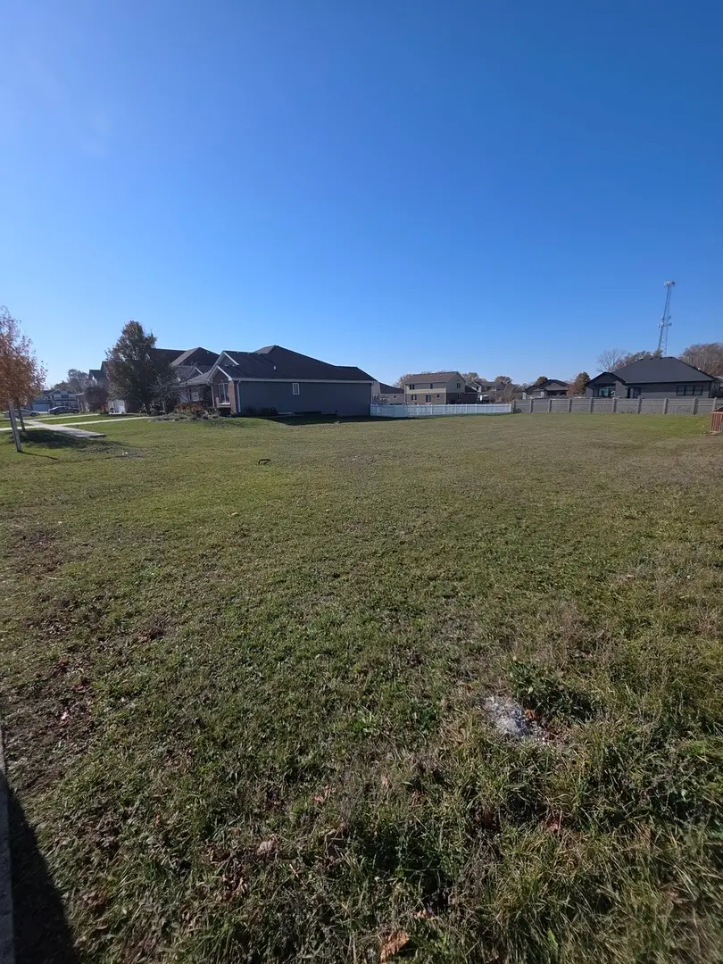 206 Hickory Street, Peotone, IL 60468 - Image #2