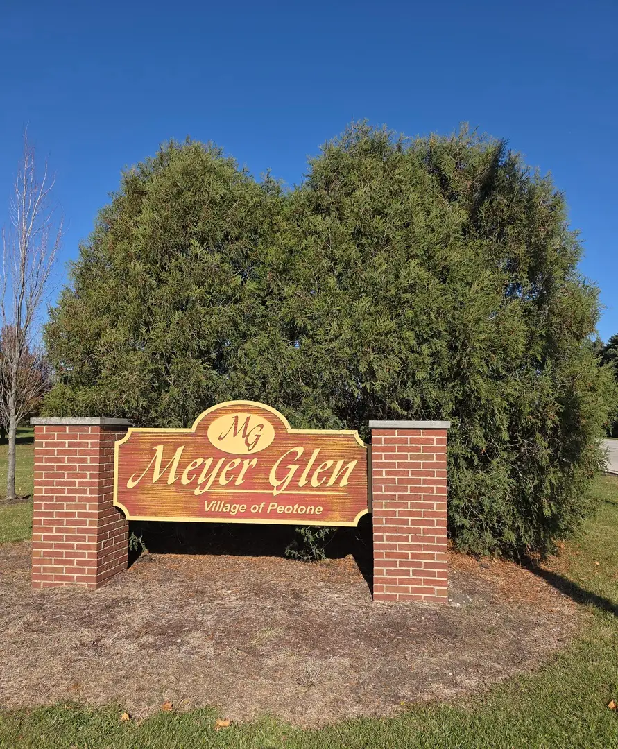 206 Hickory Street, Peotone, IL 60468 - Image #3