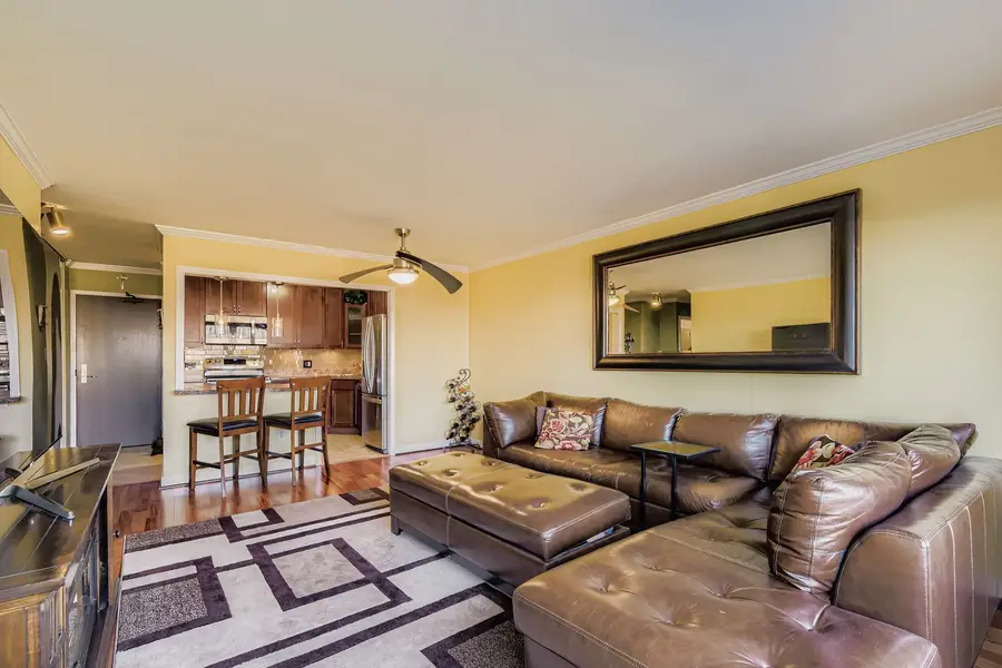 3930 N Pine Grove Avenue #805, Chicago, IL 60613 - Image #3