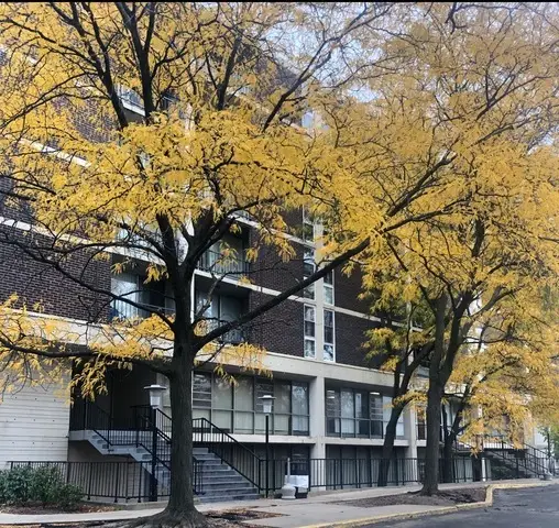 1043 S York Road #208, Bensenville, IL 60106