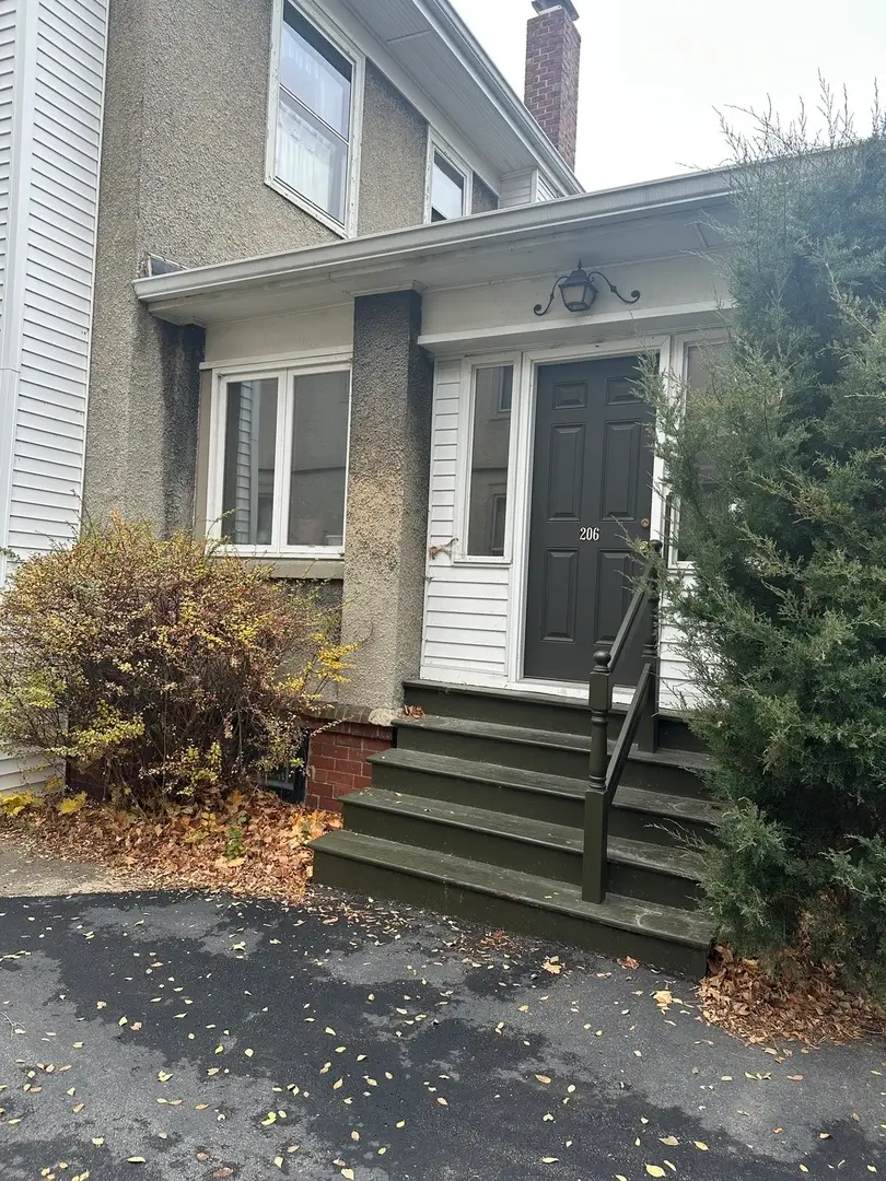 206 W Erie Street, Spring Valley, IL 61362 - #3