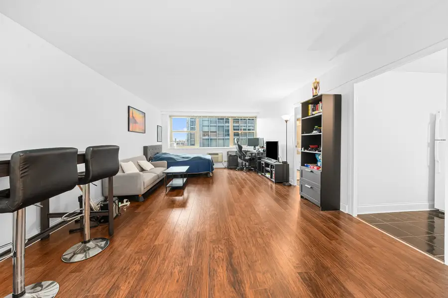253 E Delaware Place #14D, Chicago, IL 60611 - Image #2