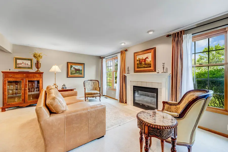 14517 Albany Avenue, Lemont, IL 60439 - Image #3