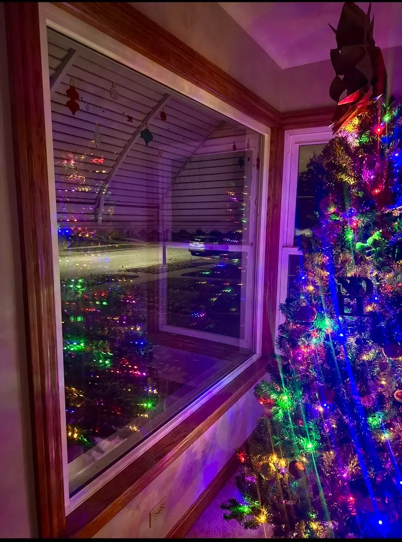 9221 S Avers Avenue, Evergreen Park, IL 60805 - Image #2