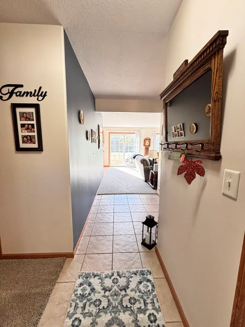 216 S Mcguire Drive, Manteno, IL 60950 - Image #3