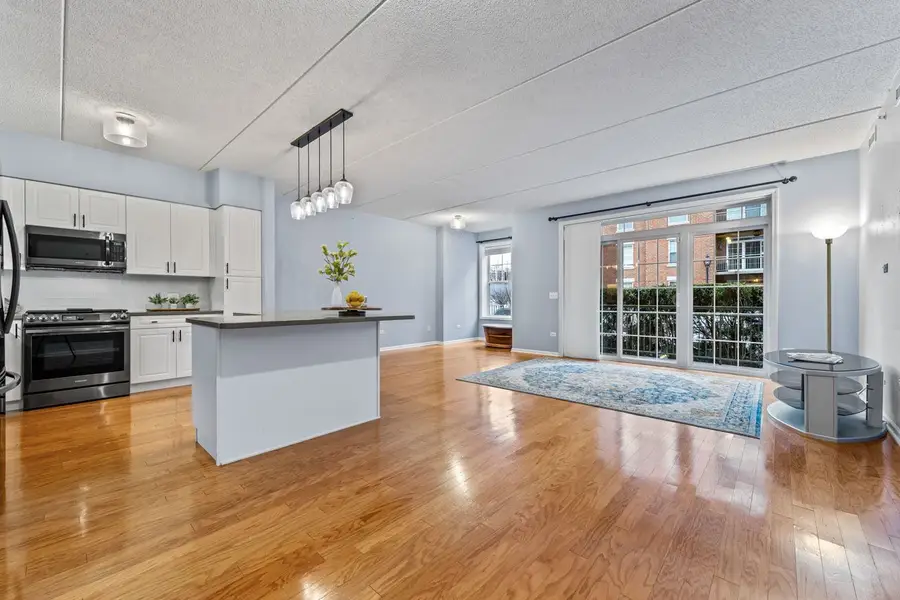 133 W Palatine Road #108, Palatine, IL 60067 - Image #3