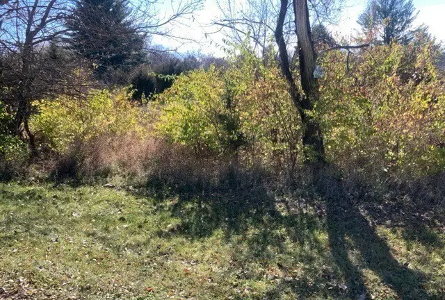 Address Withheld By Seller, Dixon, IL 61021 - Image #2