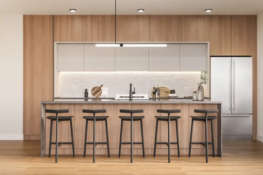 2234 W Grand Avenue #204, Chicago, IL 60612 - Image #2