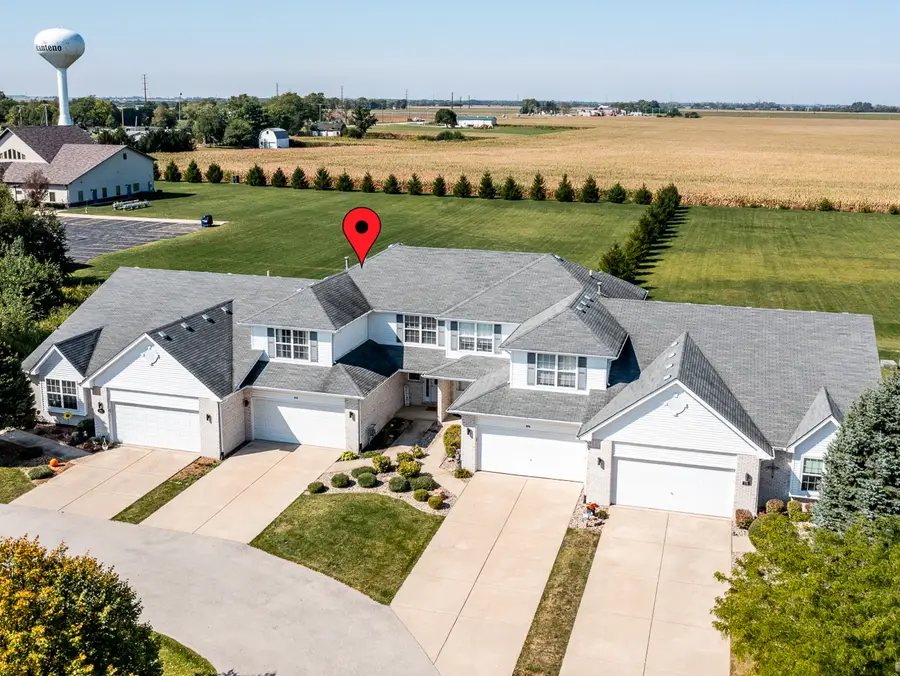 274 White Hawk Way, Manteno, IL 60950 - Image #3