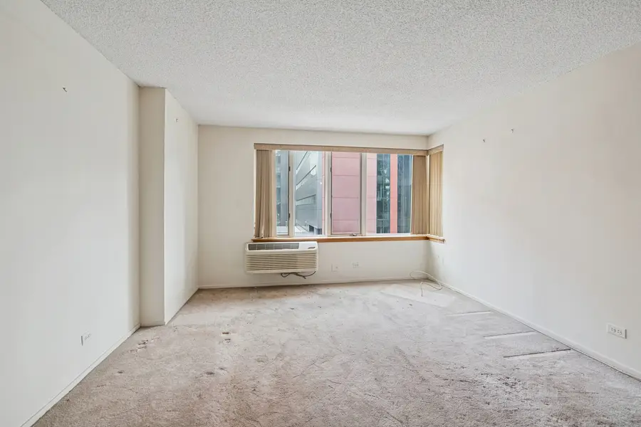 801 S Plymouth Avenue #415, Chicago, IL 60605 - Image #3