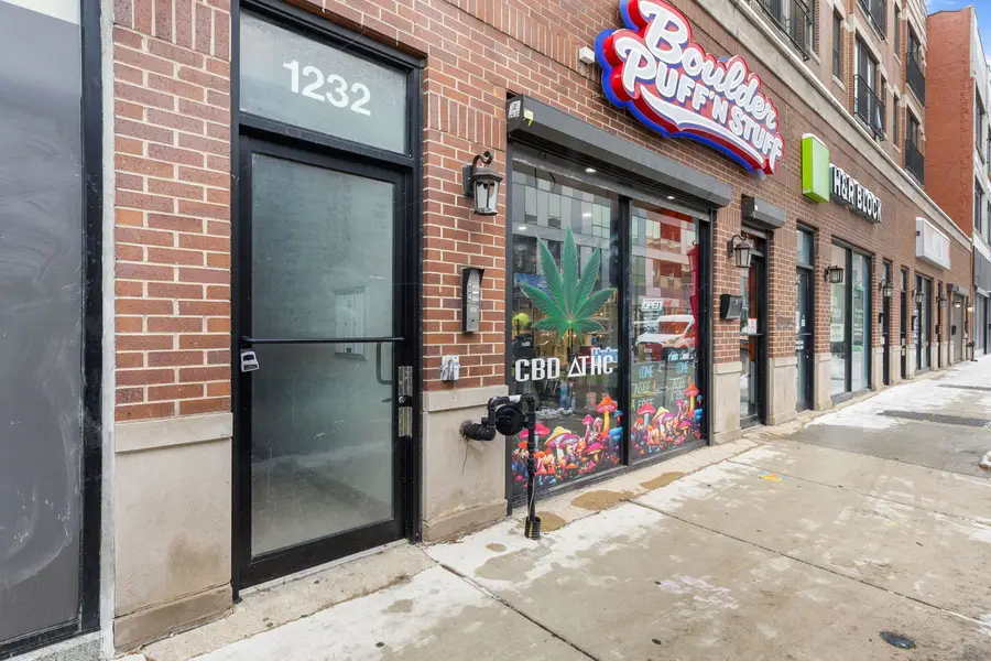 1232 N Milwaukee Avenue #2, Chicago, IL 60622 - Image #2