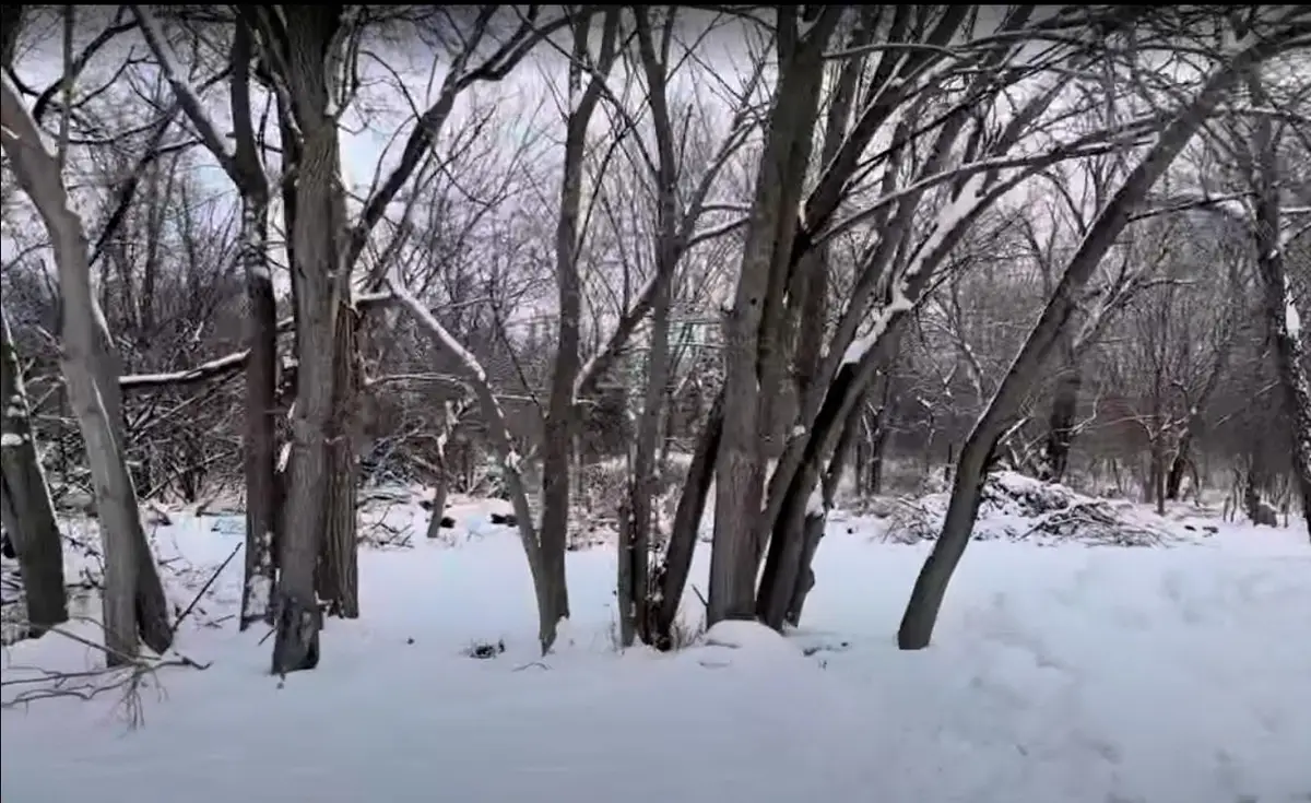 Vacant Heiden Avenue, Crest Hill, IL 60403 - Image #1