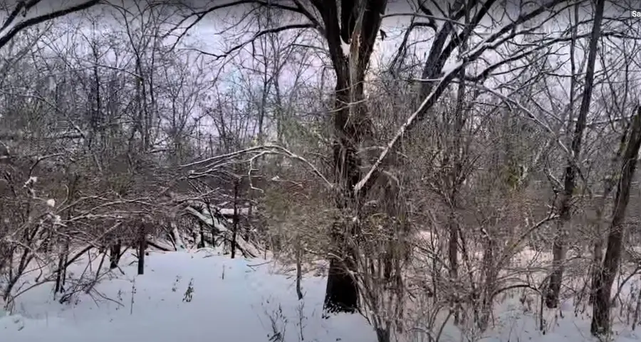 Vacant Heiden Avenue, Crest Hill, IL 60403 - Image #3