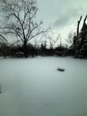 1421 Lawrence Cres Road, Flossmoor, IL 60422 - Image #2