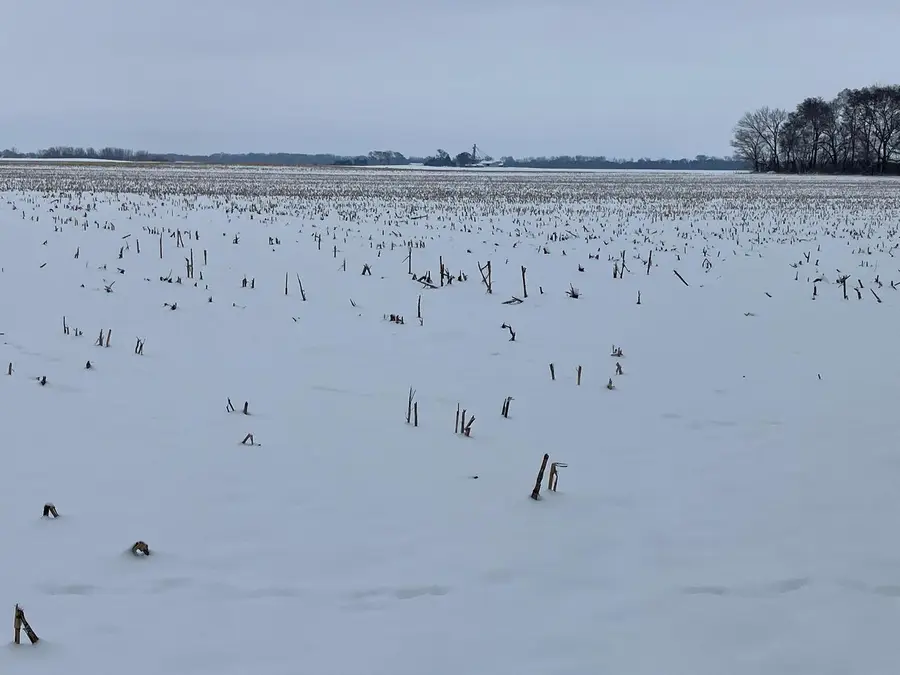 0 E 2nd Street, Tampico, IL 61283 - Image #3