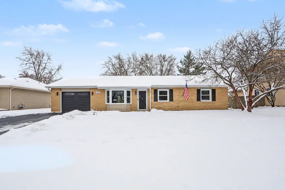 107 Kristine Street, Oswego, IL 60543 - Image #1
