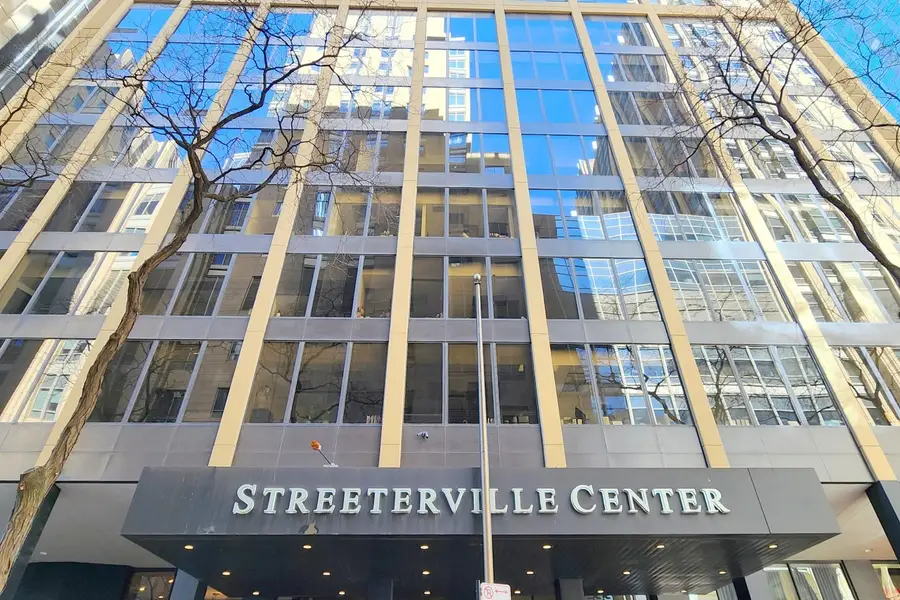 233 E Erie Street #1708, Chicago, IL 60611 - Image #2