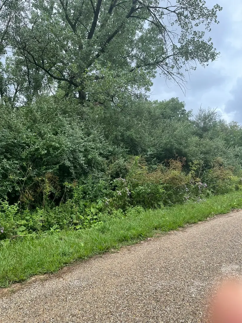 6 Walnut Drive, Putnam, IL 61560 - Image #2