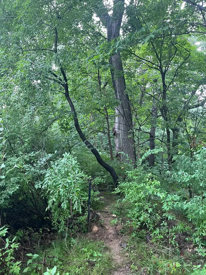 6 Walnut Drive, Putnam, IL 61560 - Image #3