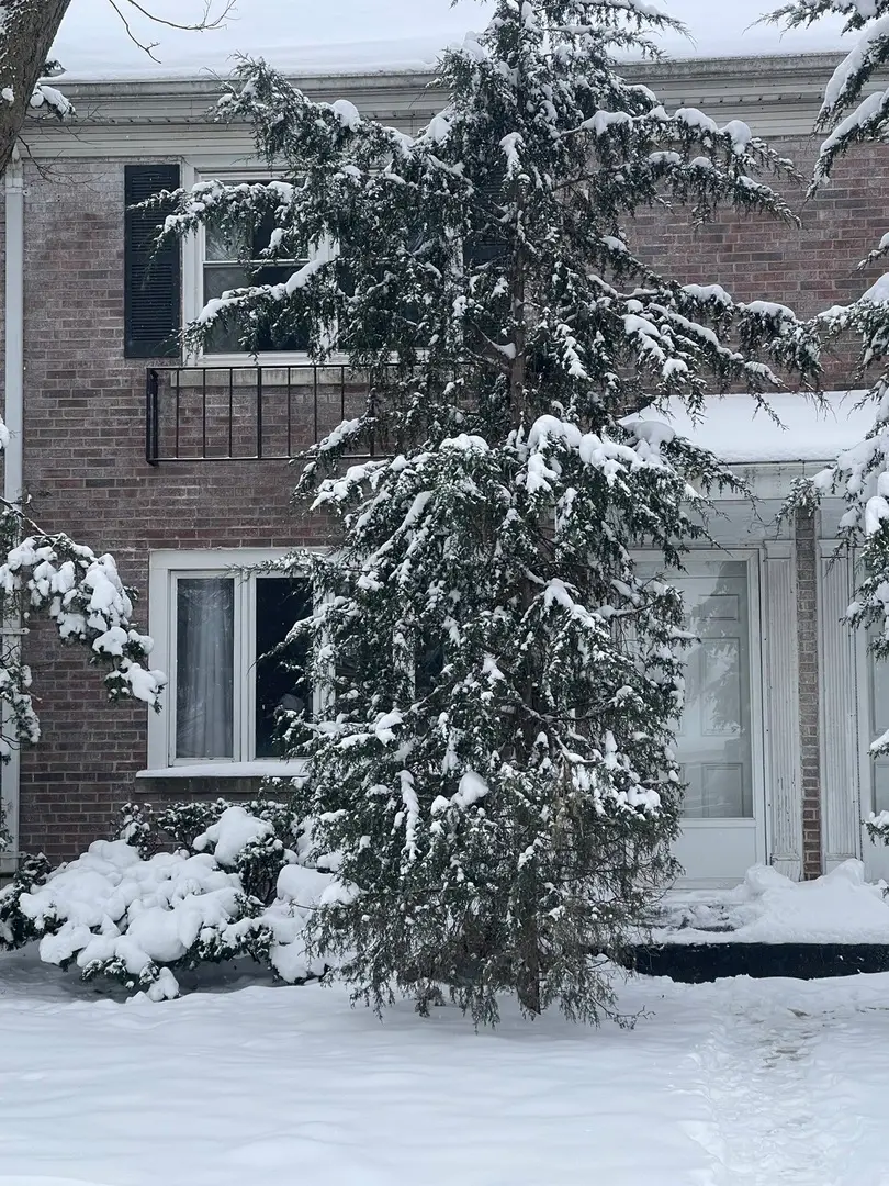 907 N Raynor Avenue, Joliet, IL 60435 - Image #1