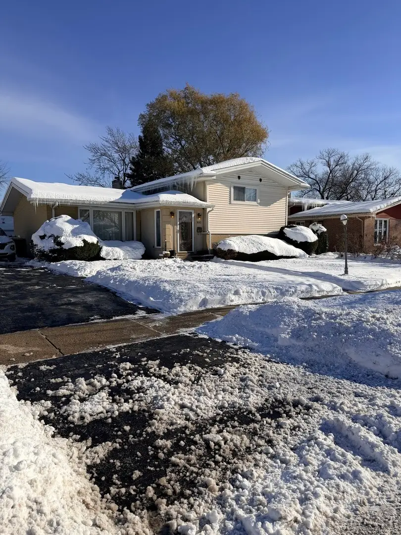 9013 Oriole Avenue, Morton Grove, IL 60053 - Image #2