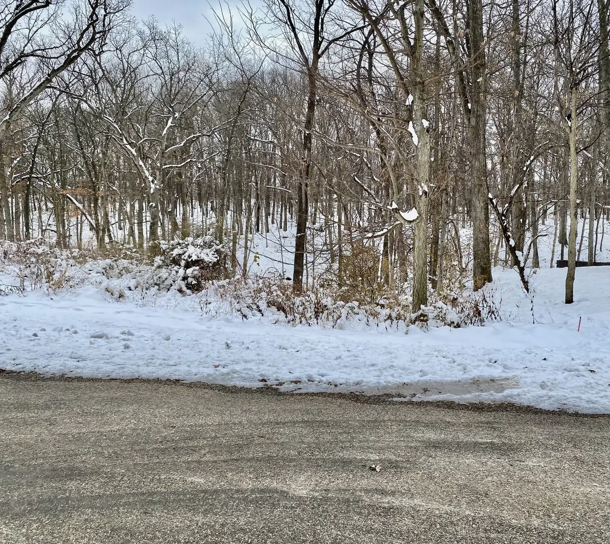 17 Carribean Drive, Putnam, IL 61560 - Image #1