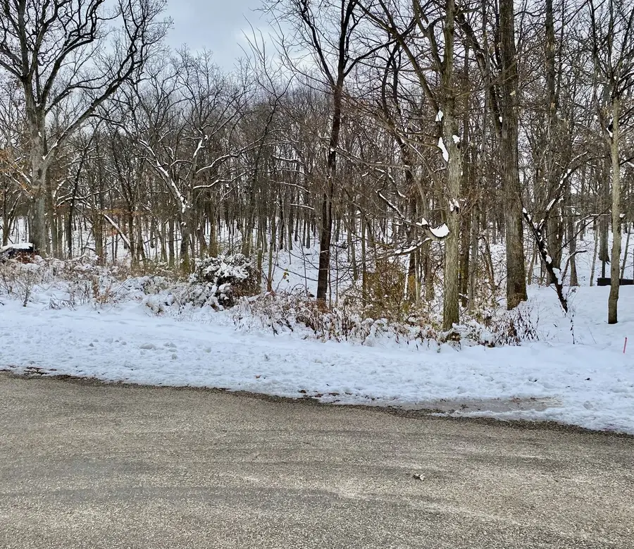 17 Carribean Drive, Putnam, IL 61560 - Image #2