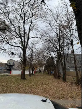 1338 S Keeler Avenue, Chicago, IL 60623 - Image #1