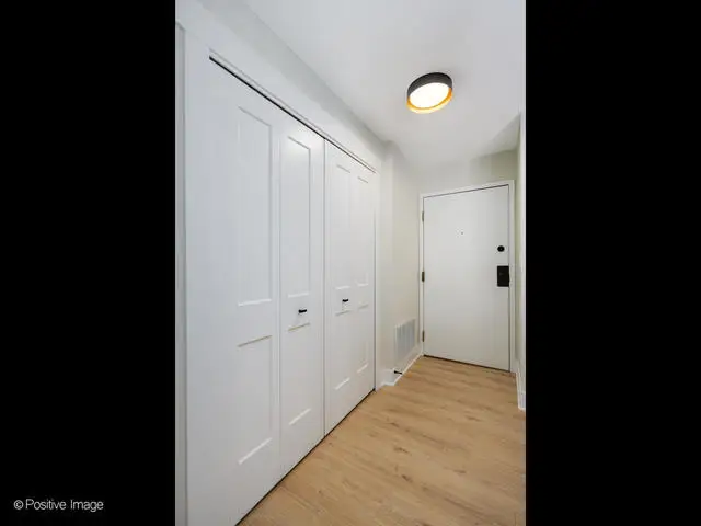 1727 W Crystal Lane #208, Mount Prospect, IL 60056 - Image #3