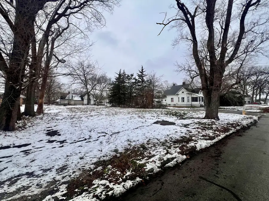 616 Robinson Street, Danville, IL 61832 - Image #3