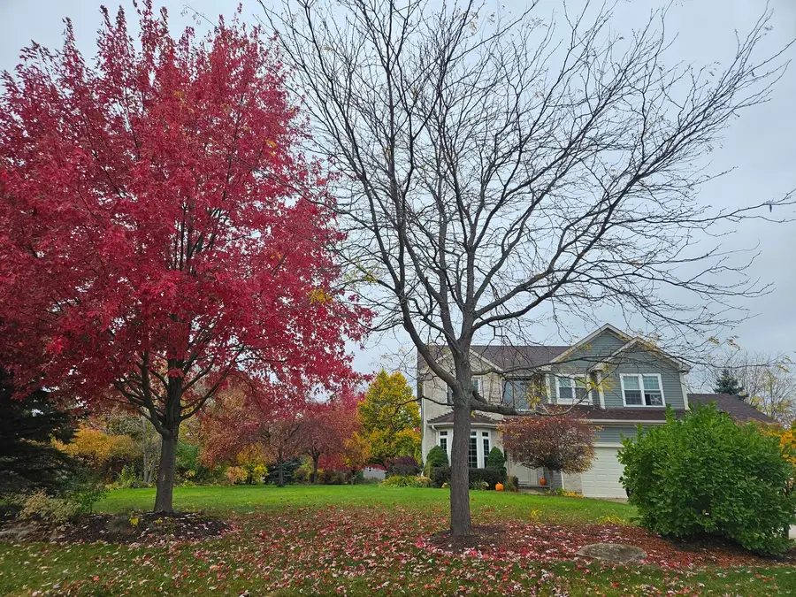 8789 Bentley Lane, Spring Grove, IL 60081 - Image #2