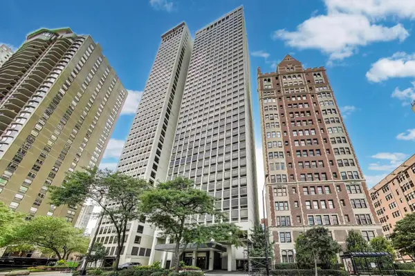 1110 N Lake Shore Drive #20S, Chicago, IL 60611