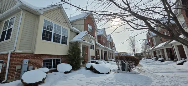 4325 Timber Ridge Court, Joliet, IL 60431