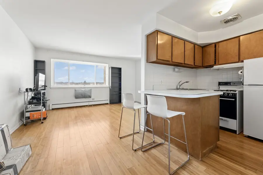 4623 N Chester Avenue #206, Chicago, IL 60656 - Image #2