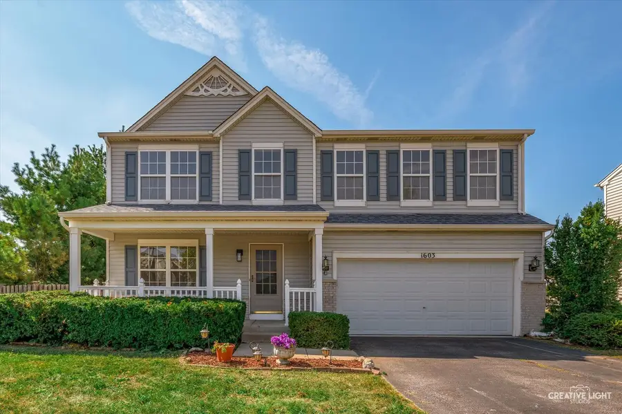 1603 Valley Ridge Drive, Plainfield, IL 60586 - Image #2