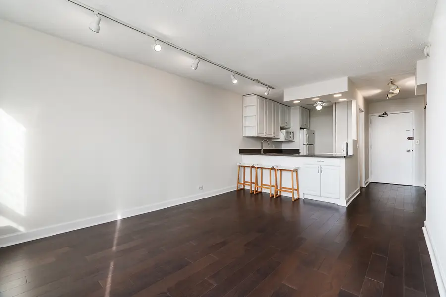 1455 N Sandburg Terrace #2907B, Chicago, IL 60610 - Image #3