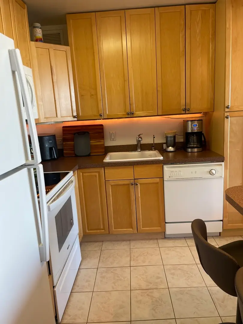 3930 N Pine Grove Avenue #2405, Chicago, IL 60613 - Image #2