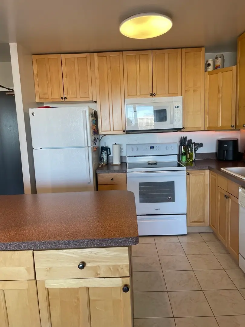 3930 N Pine Grove Avenue #2405, Chicago, IL 60613 - Image #3