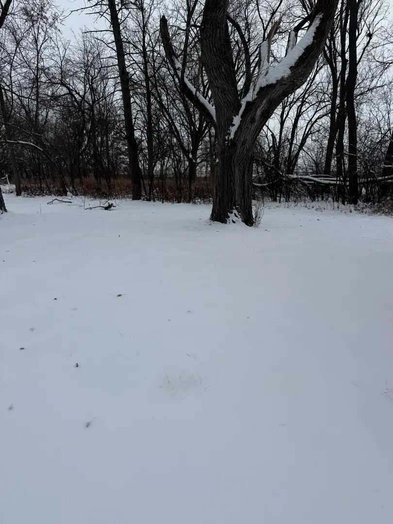 19611 Crawford Avenue, Flossmoor, IL 60422 - Image #1