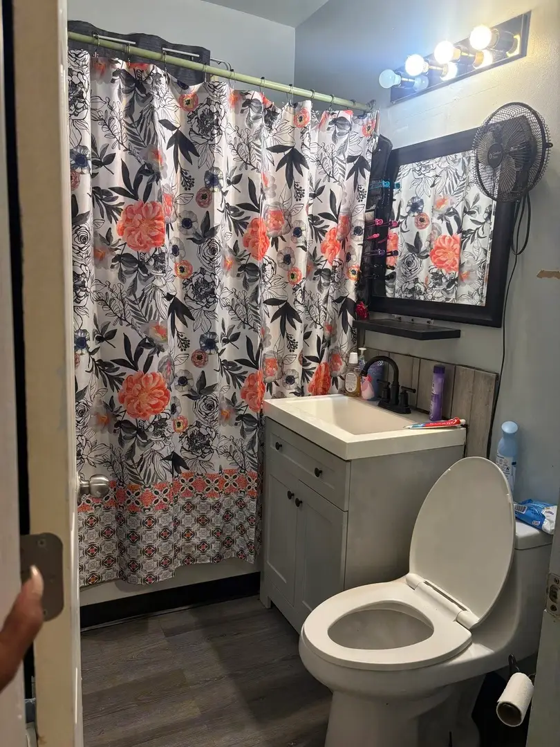 2312 S Kolin Avenue, Chicago, IL 60623 - Image #3