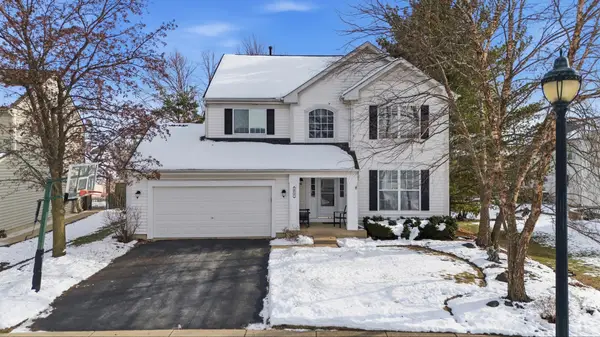 213 Switchgrass Drive, Round Lake, IL 60073