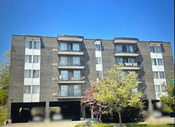 11116 S Longwood Drive #203, Chicago, IL 60643