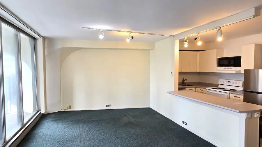 300 N State Street #2126, Chicago, IL 60654 - Image #2