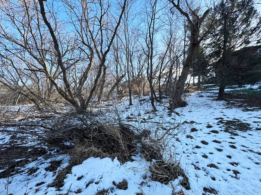 4-39 Grandview Drive, Lake Carroll, IL 61046 - Image #3